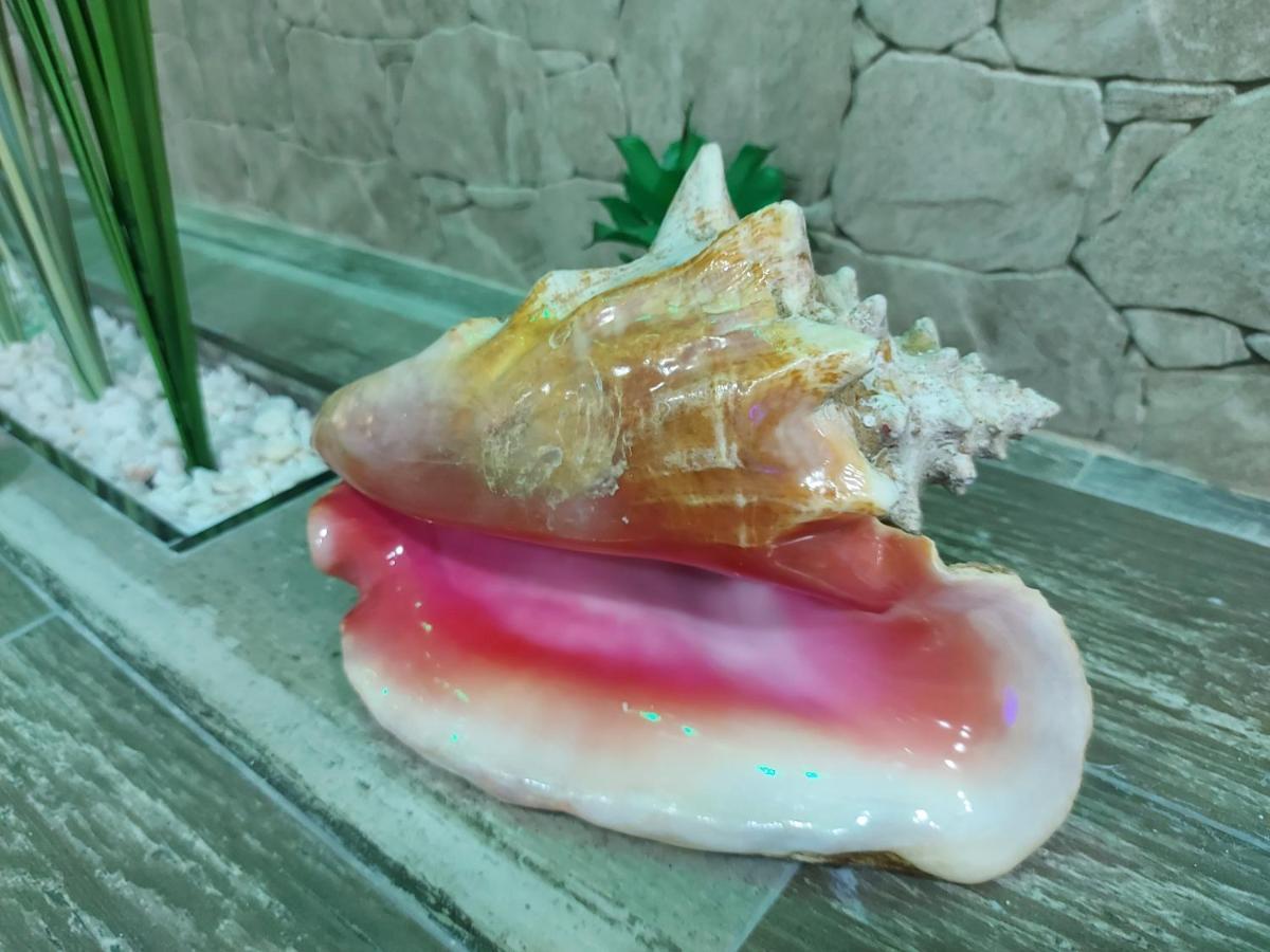 Apartamento Estrella Sauna Spa Jacuzzi 阿拉贡省阿拉马 外观 照片